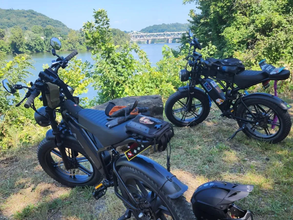 How Do Costco E-Bike Models Compare to Specialty Bike Shop Options in 2025?