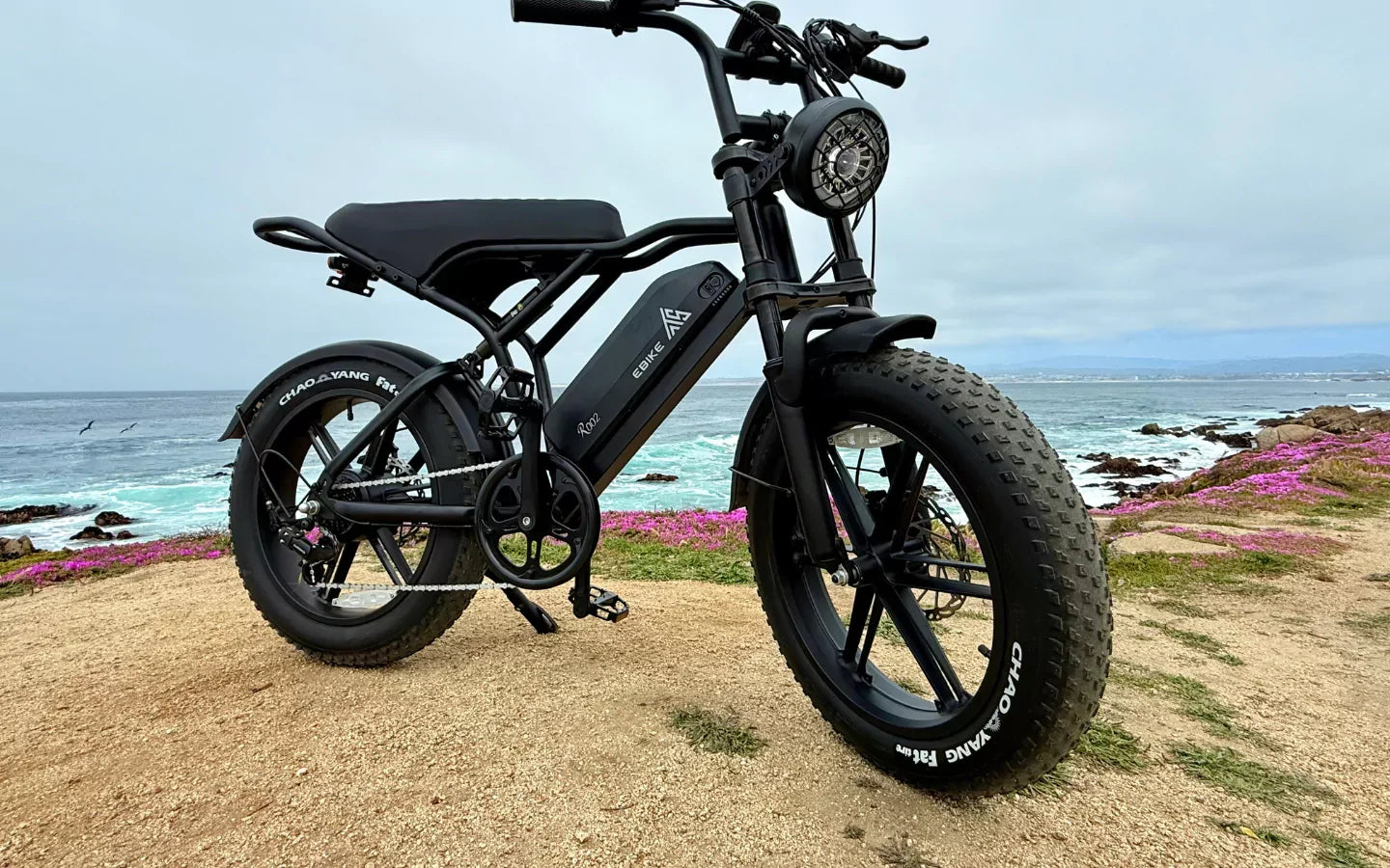 how-safe-is-a-hydraulic-disc-brake-ebike