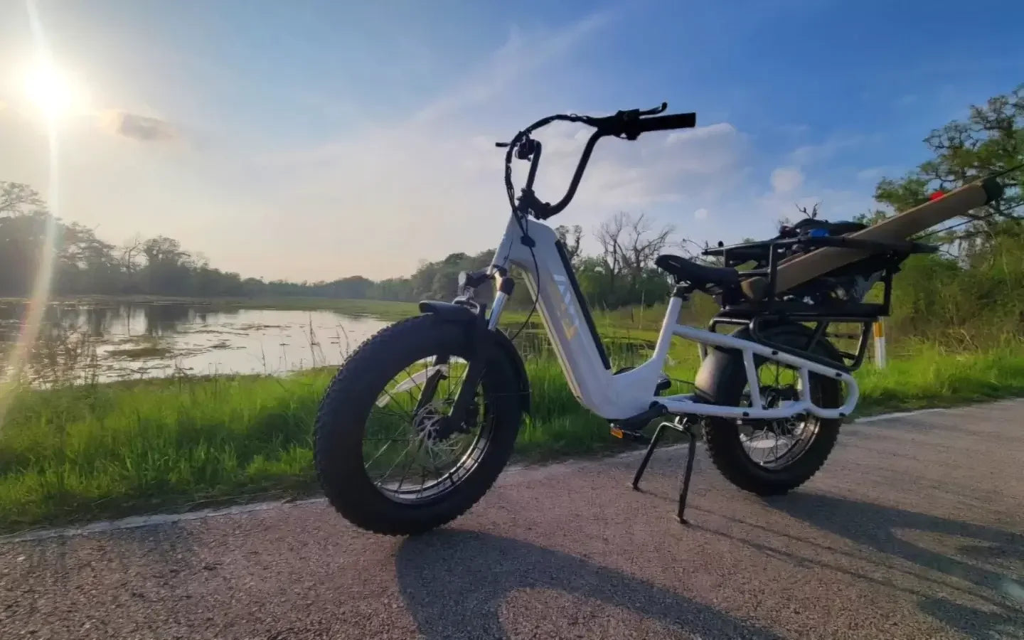 how-to-upgrade-to-48v-15ah-cargo-e-bike