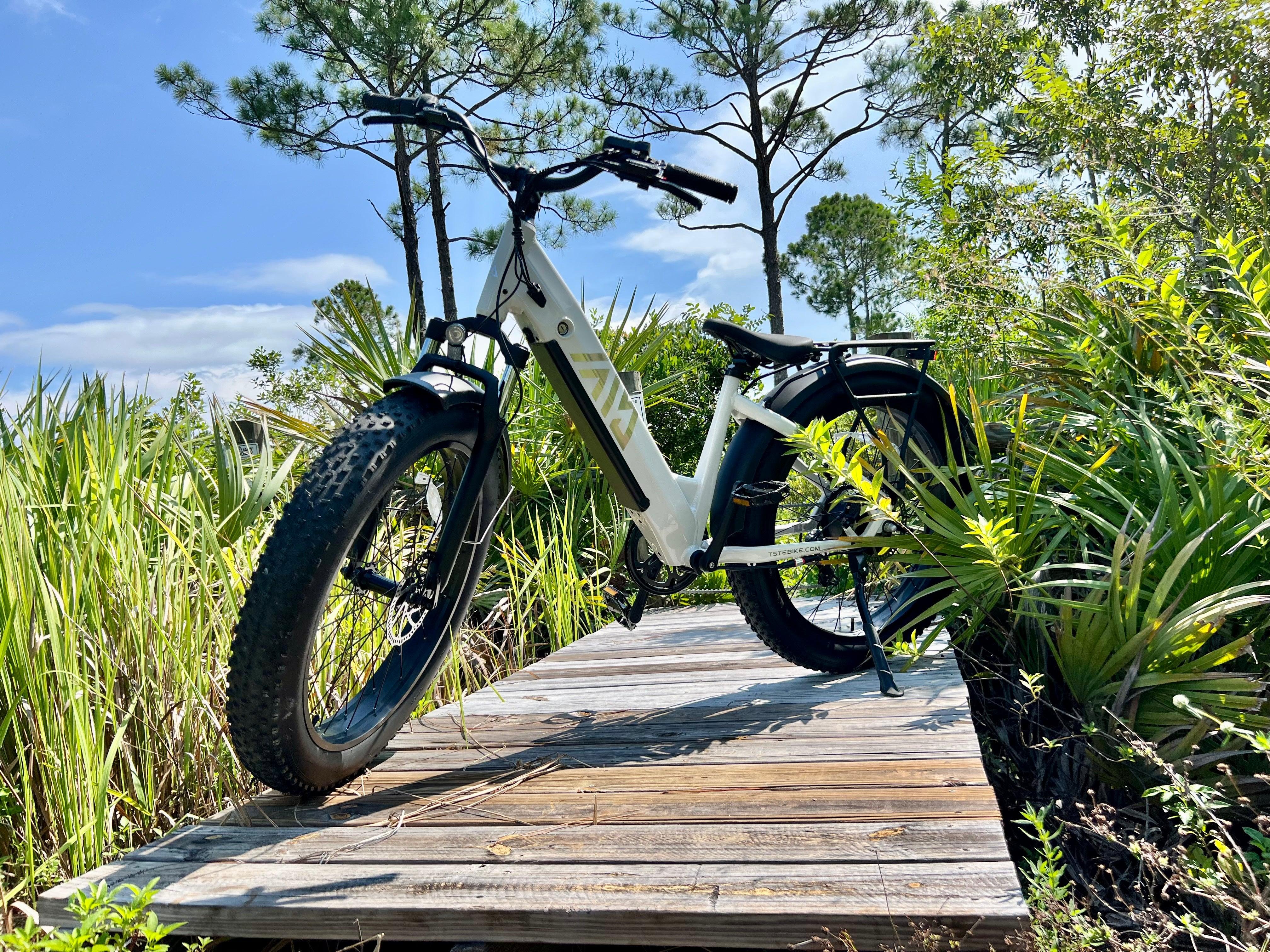 Are Electric Bike Chargers Universal? A Practical Guide to Choosing the Right Charger - TST Ebike