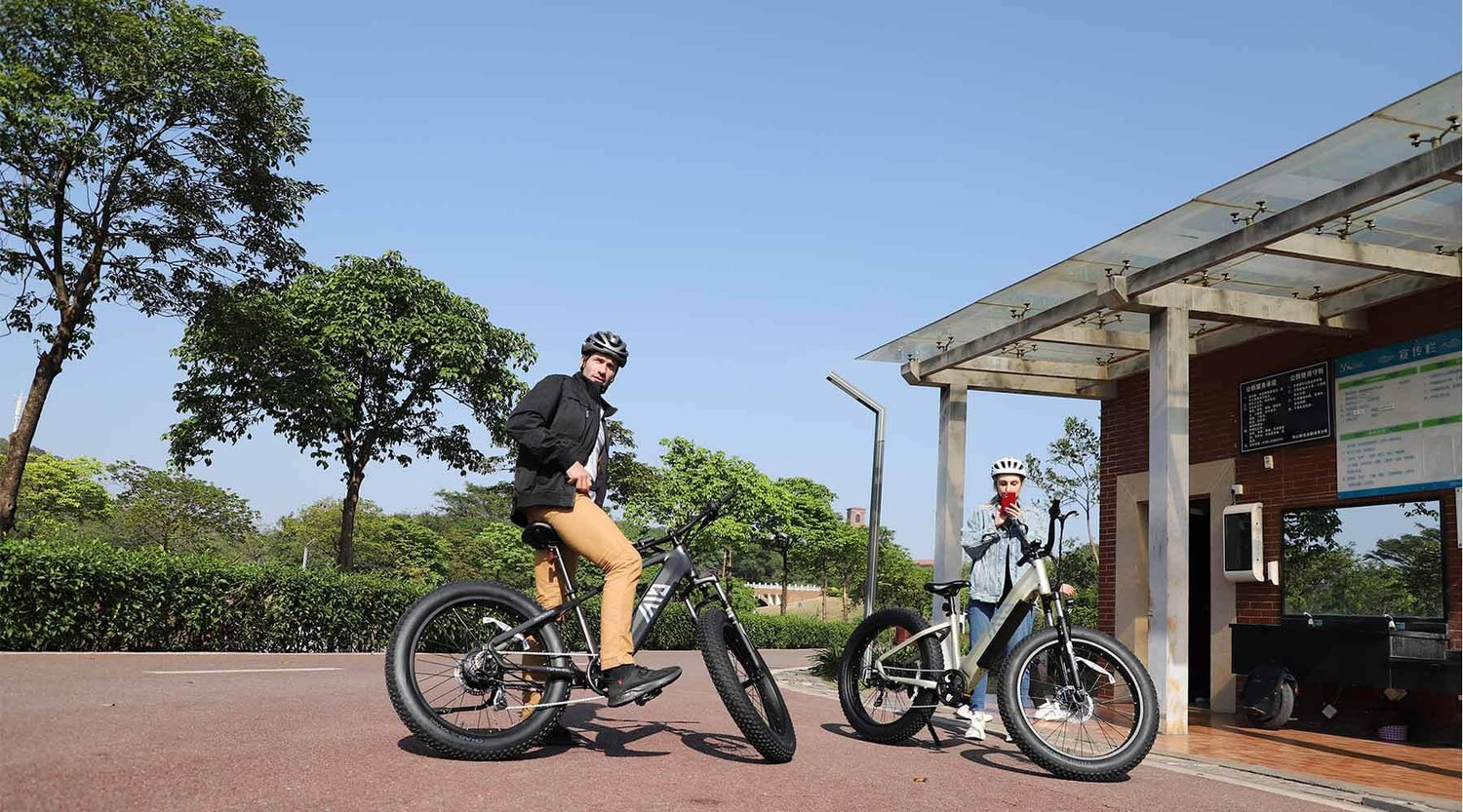 Step Through vs. Step over Bikes: Which Frame Style is Right for You? - TST Ebike