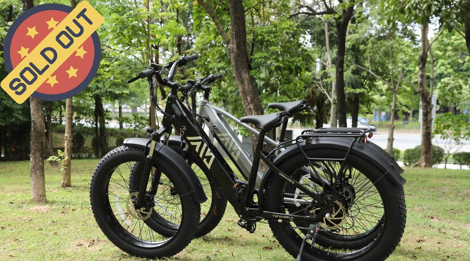 TST Dreamer and Surfer Green Out Of Stock Notice - TST Ebike