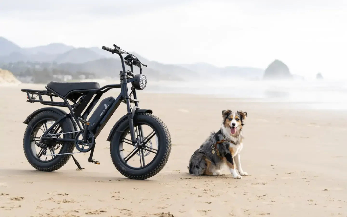 what-are-the-perks-of-a-15ah-battery-fat-tire-ebike