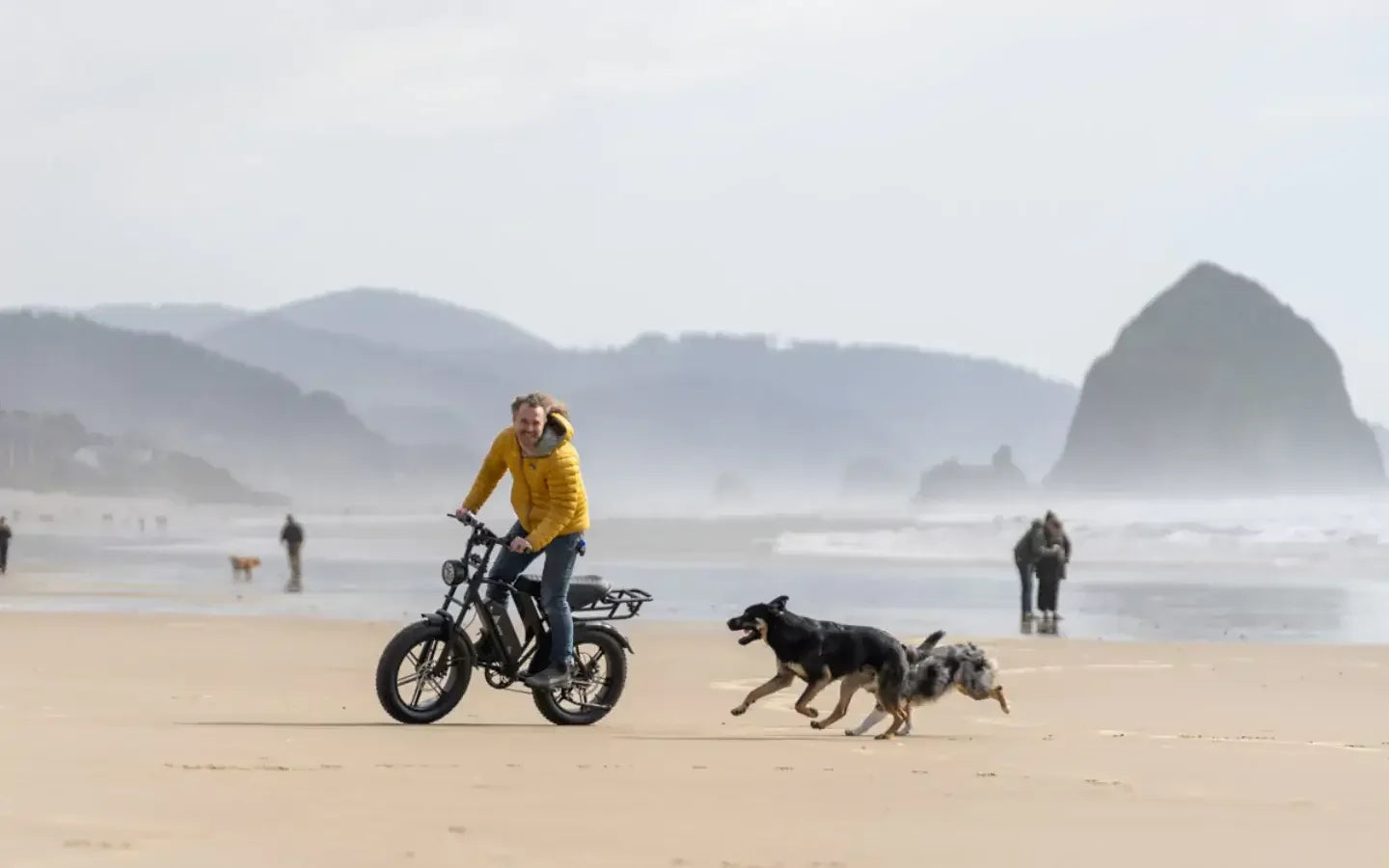 what-is-a-high-torque-1300w-rear-drive-ebike