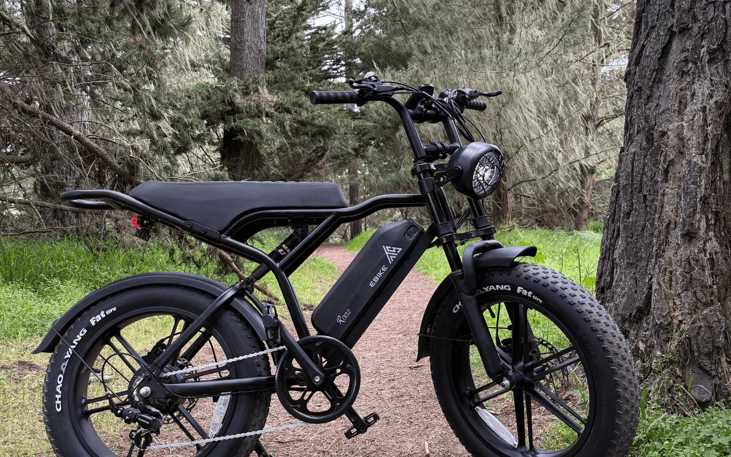 what-is-an-extra-wide-tire-500lb-ebike