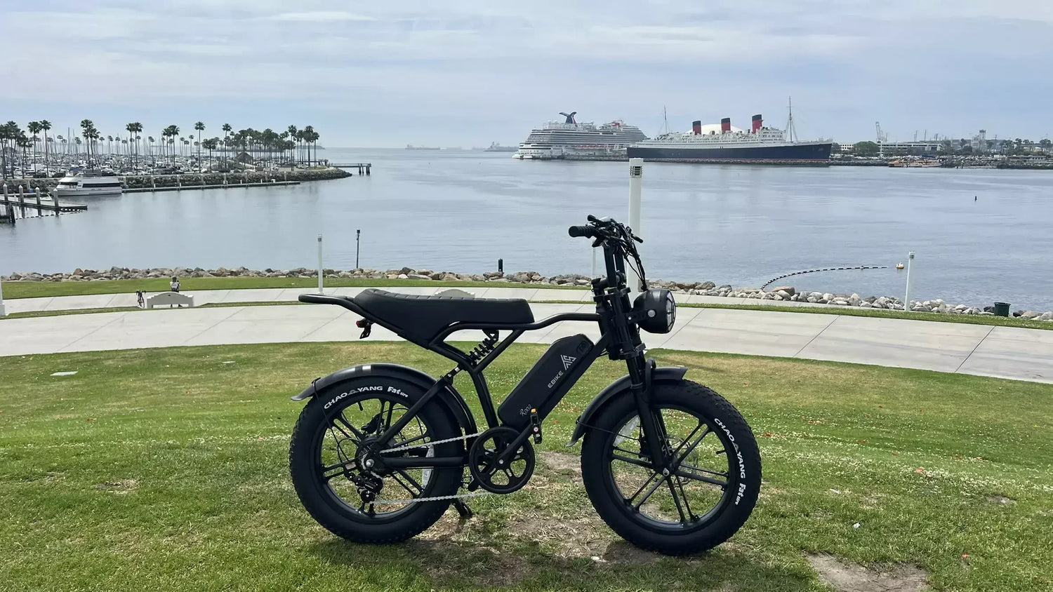 what-is-the-tst-buddy-20-folding-electric-bike