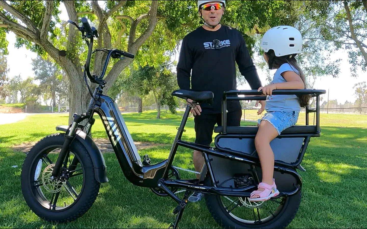 what-is-the-tst-carrier-20-cargo-electric-bike