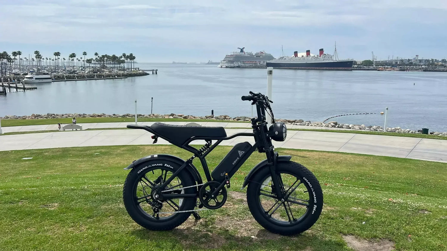 what-makes-a-shimano-7-speed-electric-fat-tire-bike-stand-out