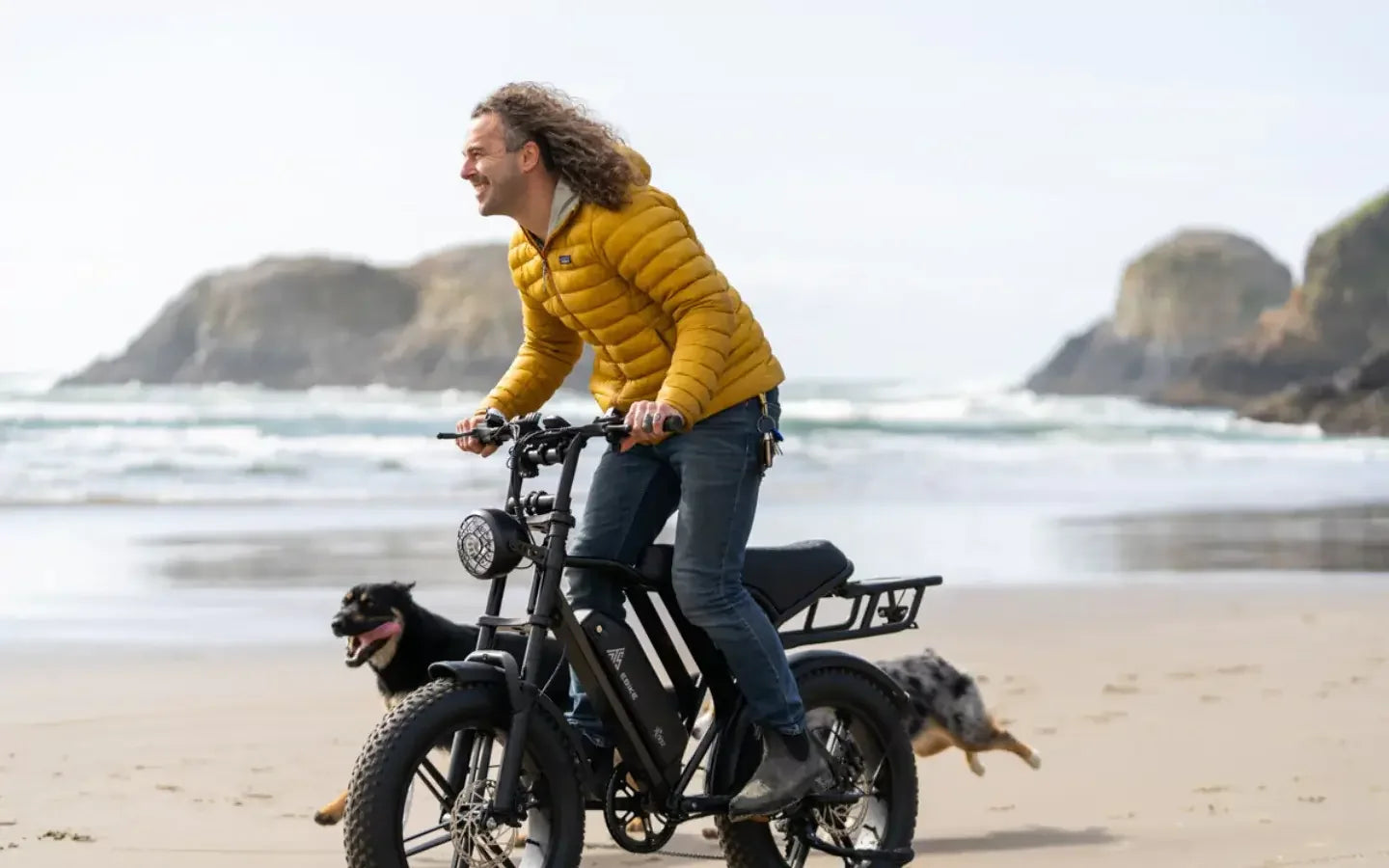 what-powers-a-1300w-rear-drive-fat-tire-ebike