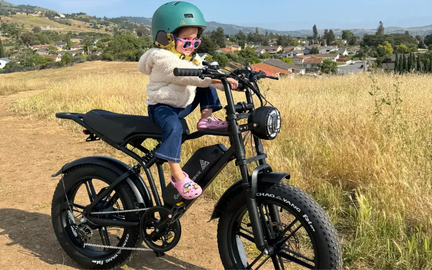 what-s-the-best-1300w-cargo-hub-electric-bike