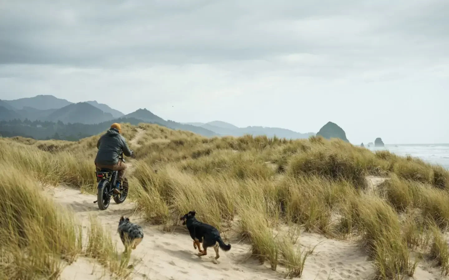 what-s-the-best-1500w-moped-style-e-bike