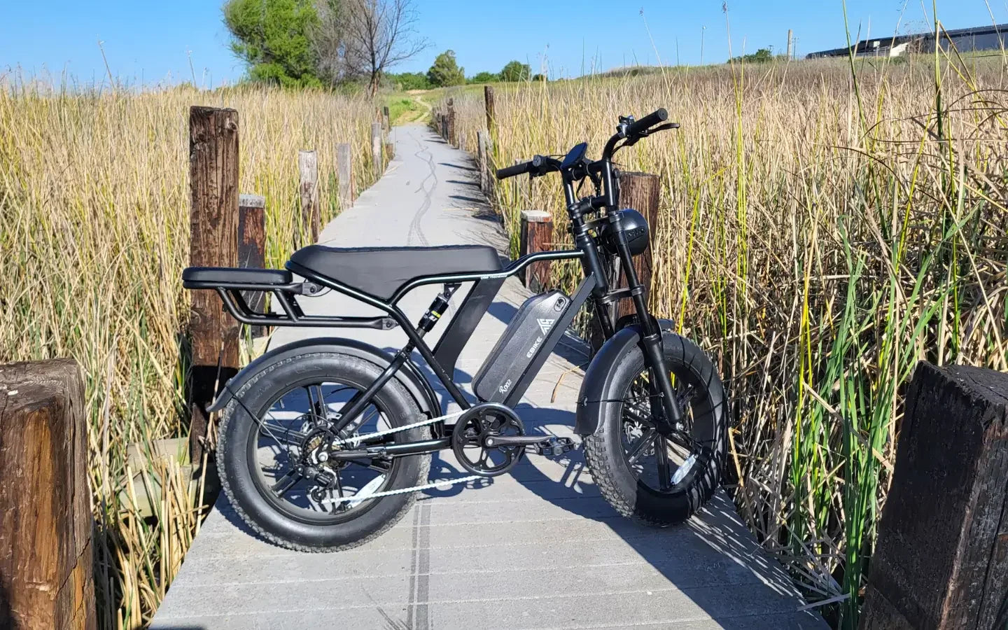 what-s-the-best-tst-carrier-20-cargo-e-bike