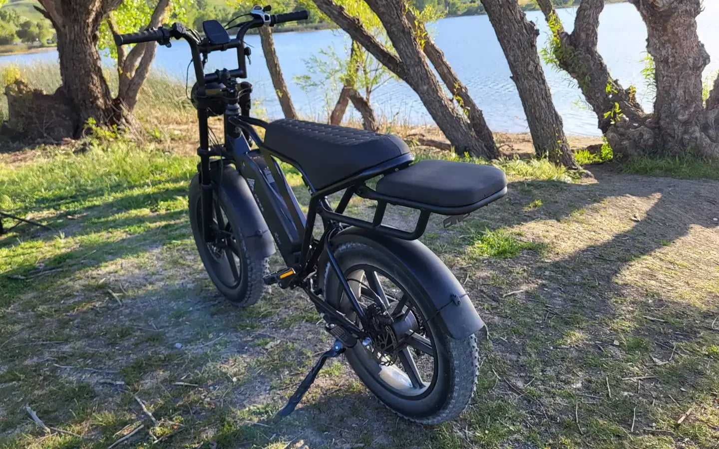 who-needs-a-500lb-capacity-fat-tire-ebike