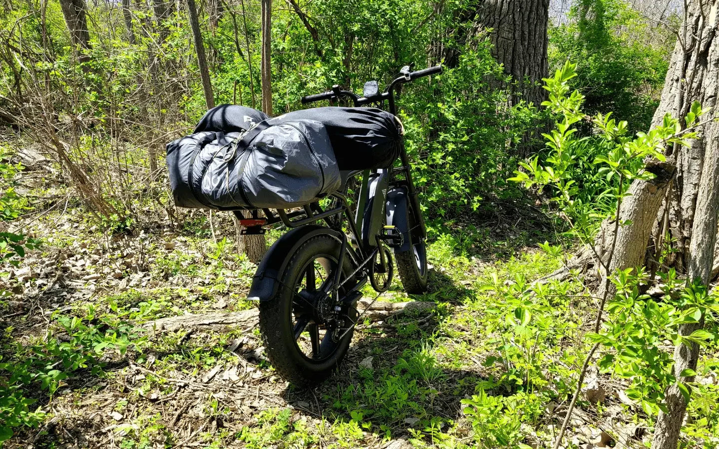 why-choose-a-step-thru-fat-tire-e-bike