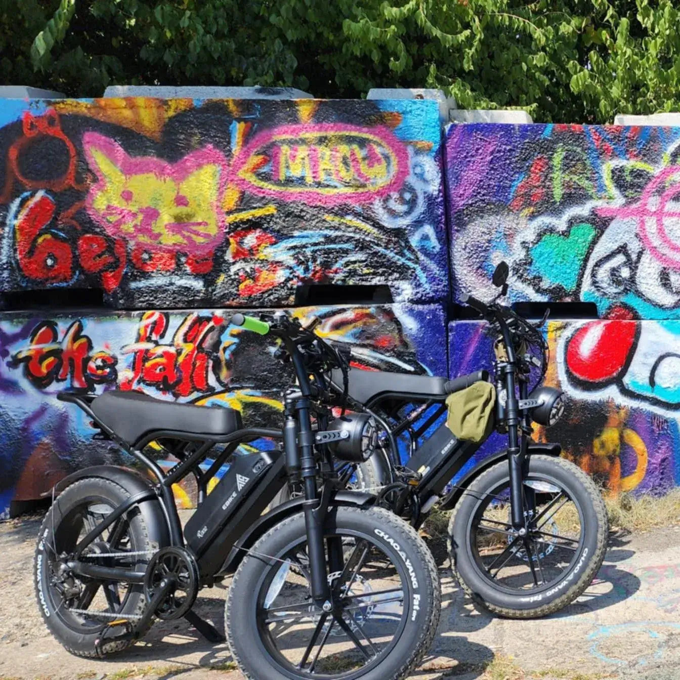 All Electric Bikes - TST Ebike