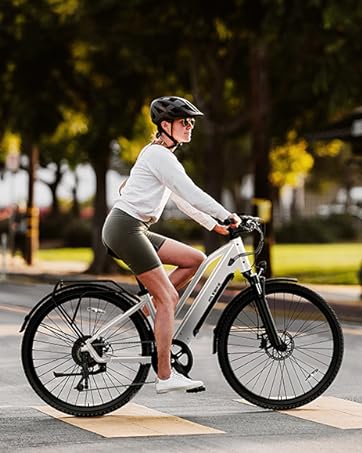 10001_ed5725f5-b806-4383-831f-6e6e5831d3c6 - TST Ebike