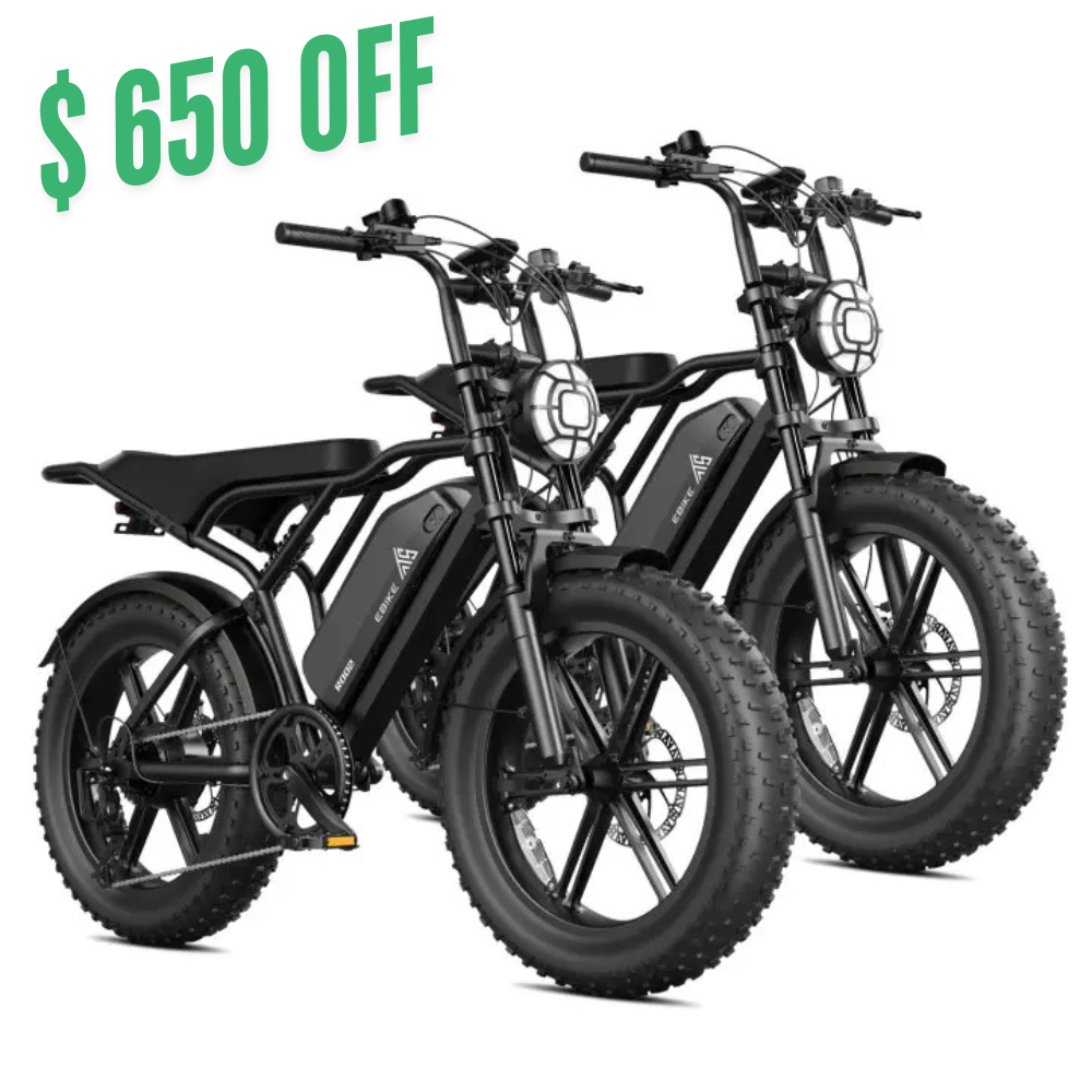 1_6024fd6f-d70d-42fe-b925-1040c51b61b0 - TST Ebike