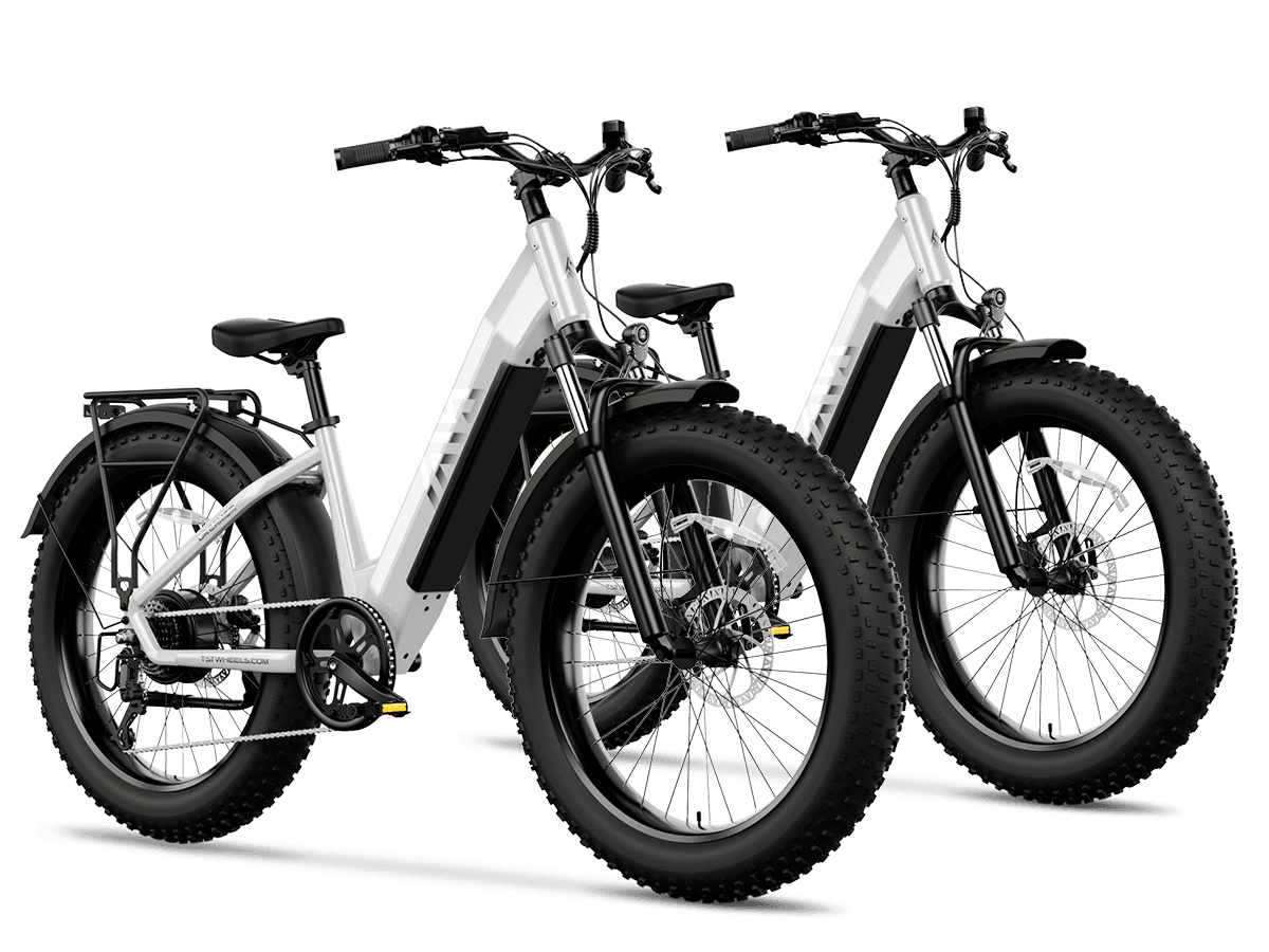 26_-2_6fe9b7e6-126f-4bb4-ab44-441bf5bcf288 - TST Ebike