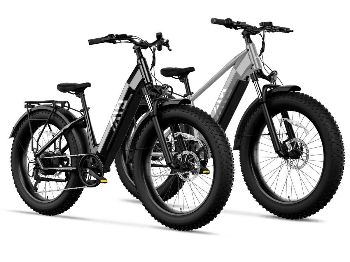 2_4ffb9c80-72d8-4e14-adaf-13bc9036bc50 - TST Ebike