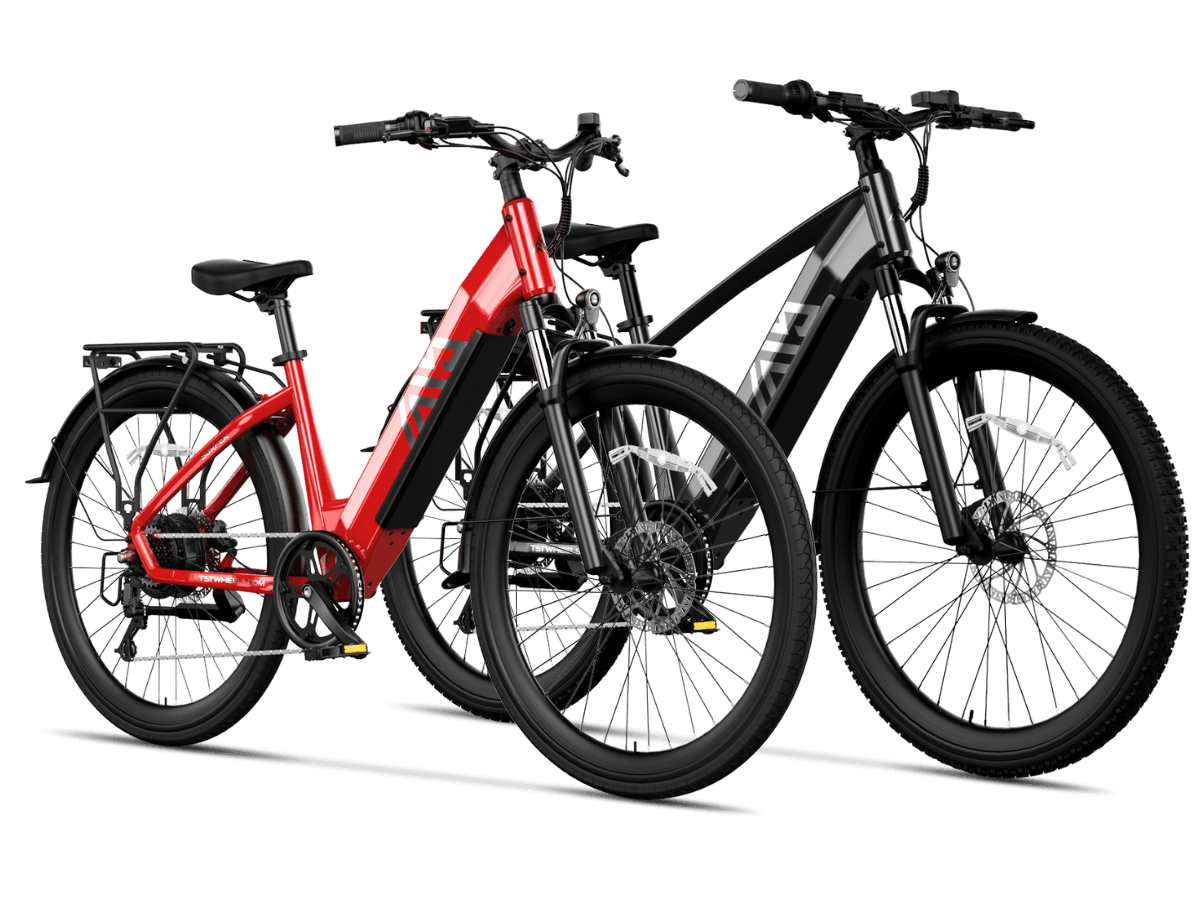 3 - TST Ebike