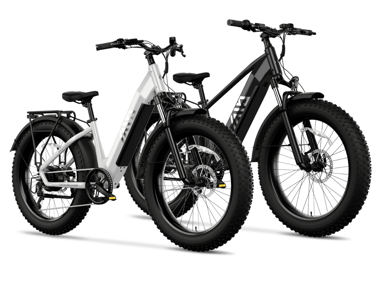 TST Combo Sale Defender Dreamer 26 Fat Tire Ebike for Adult Gray Black EBike 2 RacK 2 Fender 2