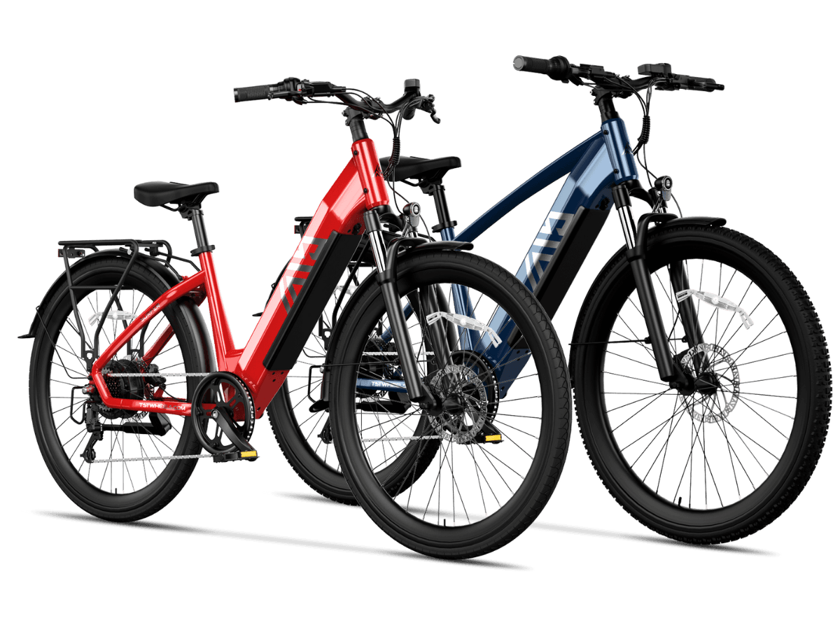 5 - TST Ebike