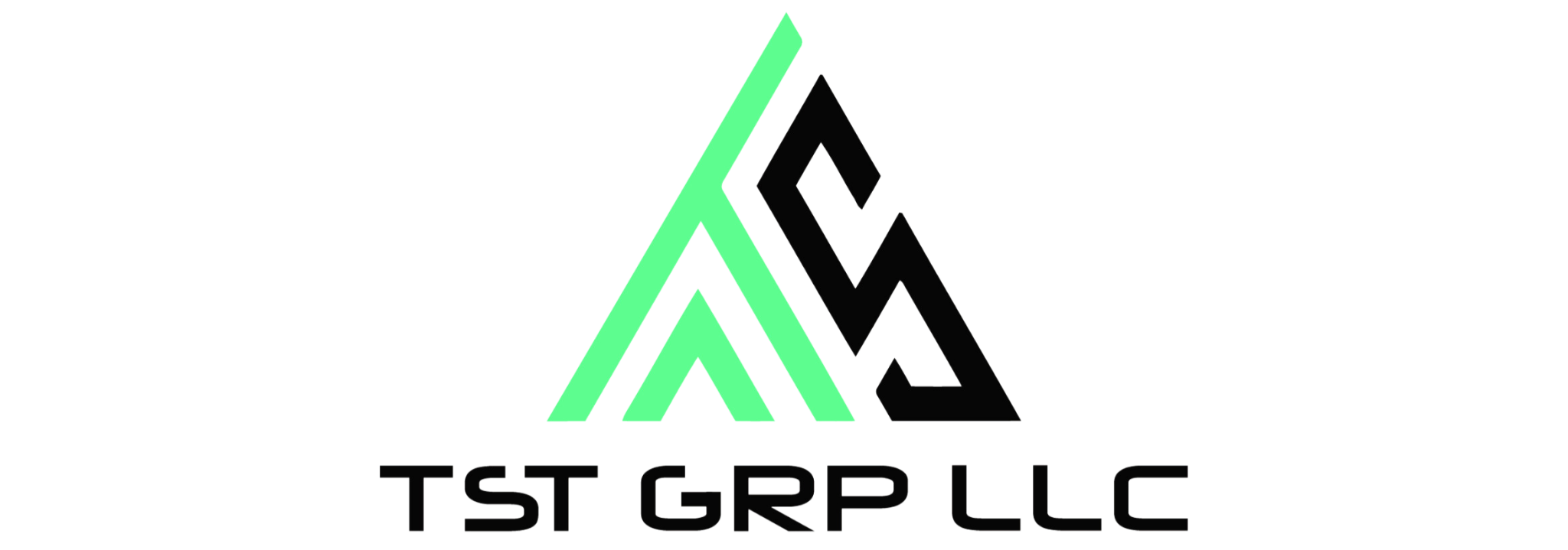 TST Ebike logo