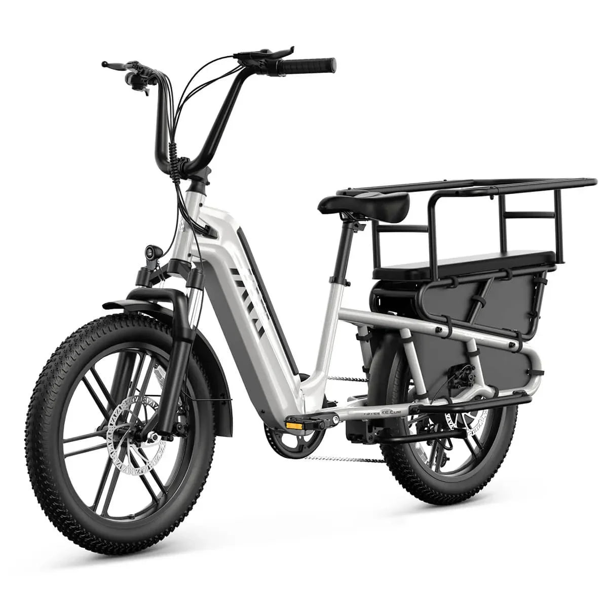 Family Electric bike, cargo Electric bike, can carry 2 children, Free accessories, 1300w power