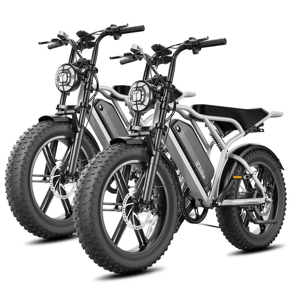 TST® Combo Sale R002 20" Full Suspension Moped-Style Ebike