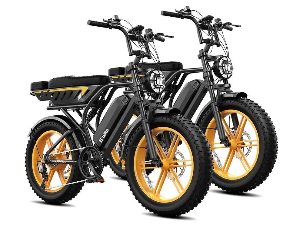 TST® Combo Sale R9 Dual-Battery 1500W Long-Range E-Bike