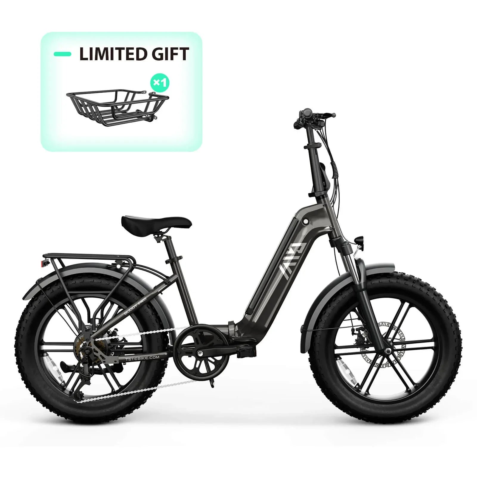 TST® Buddy Pro 20'' Folding Ebike
