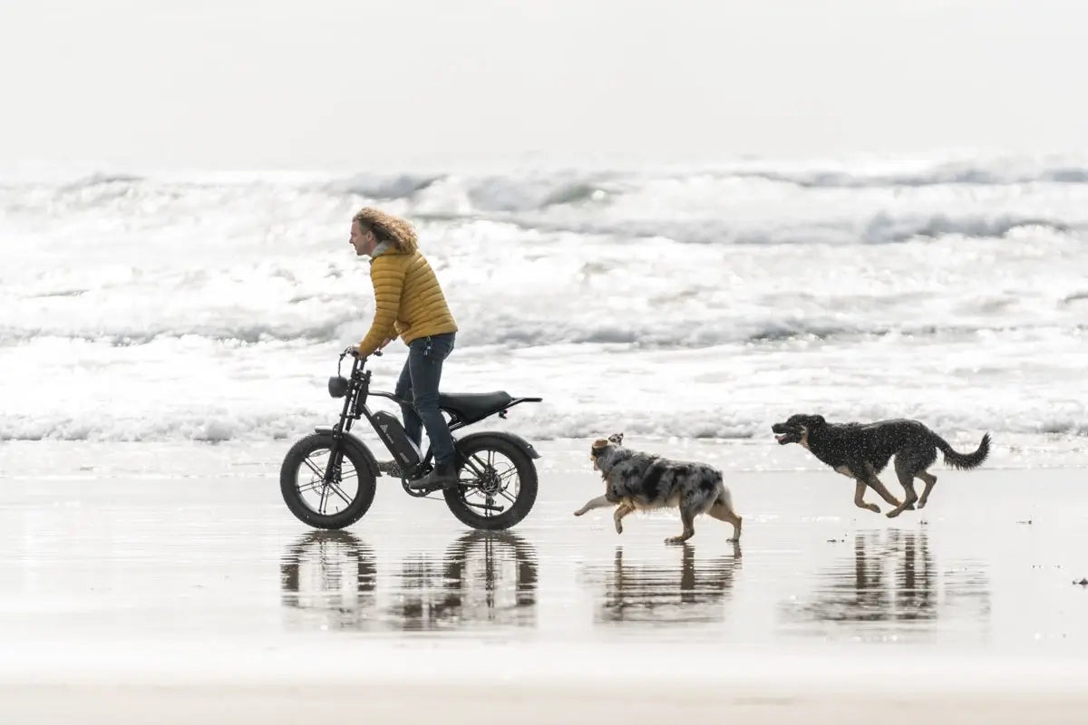 At TST Ebike One-Of-A-Kind Design with Top-Tier American Quality