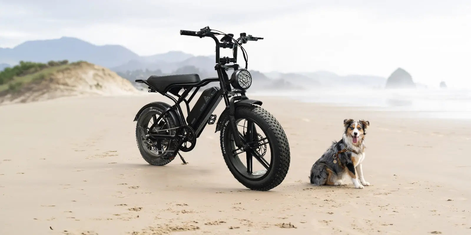 At TST Ebike One-Of-A-Kind Design with Top-Tier American Quality
