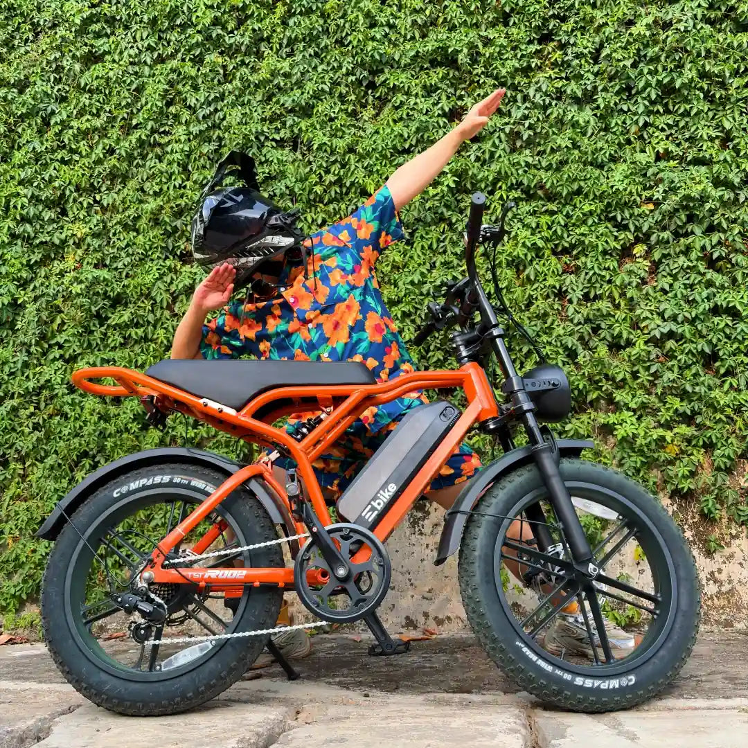 TST® R002 20'' 1500W Full Suspension Moped-style Electric Bike