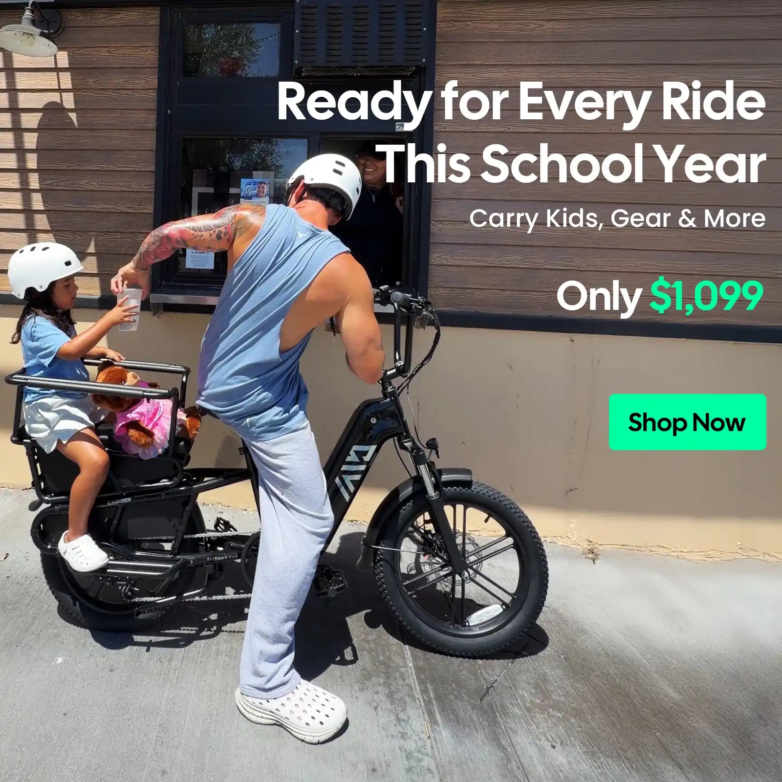 TST® Carrier 20'' Cargo Electric Bike
