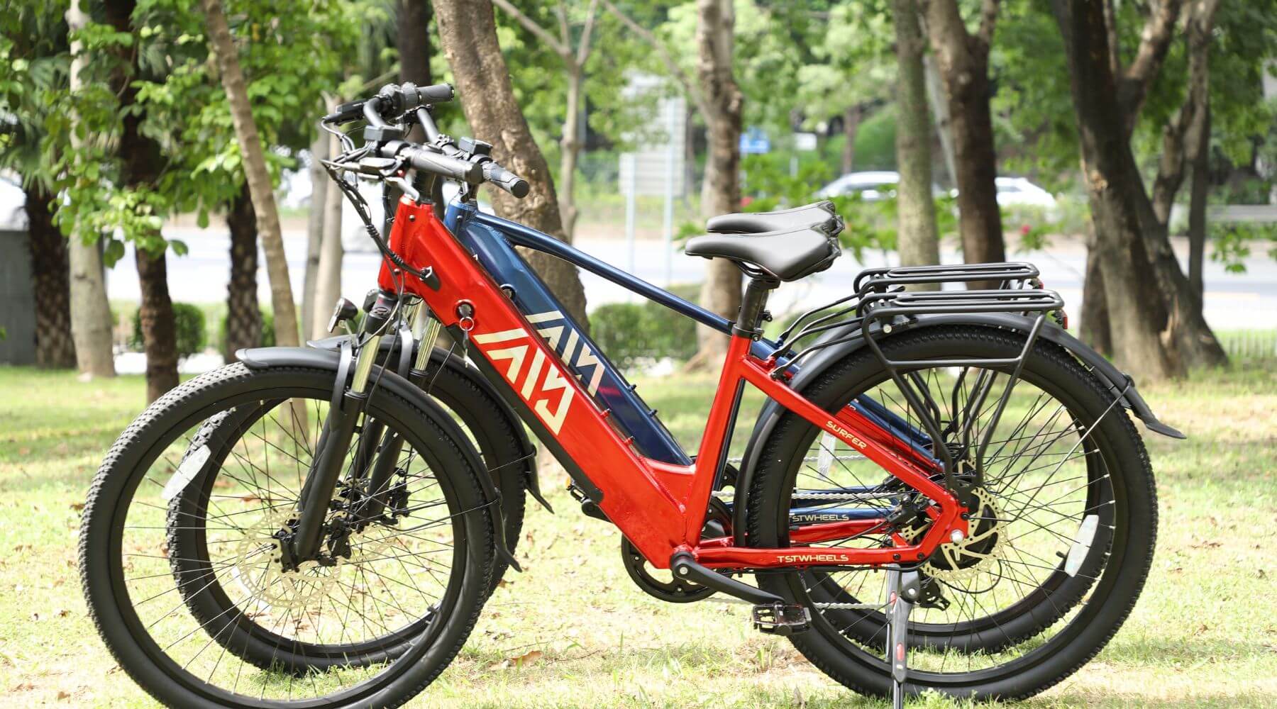 TST-Red-and-Blue-Ebike
