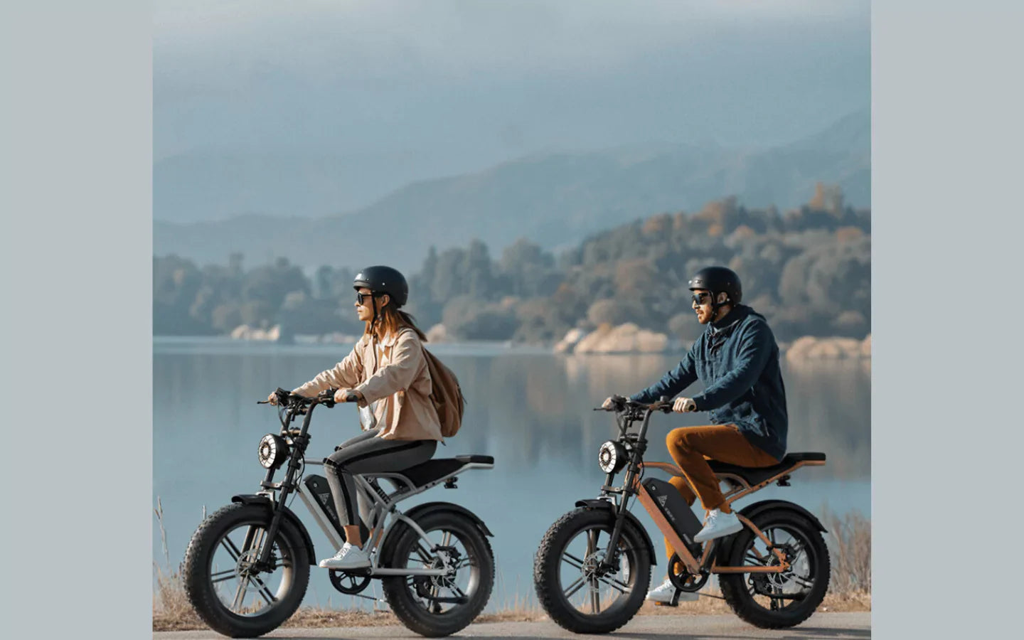 how-do-costco-e-bike-models-compare-to-specialty-bike-shop-options-in-2025