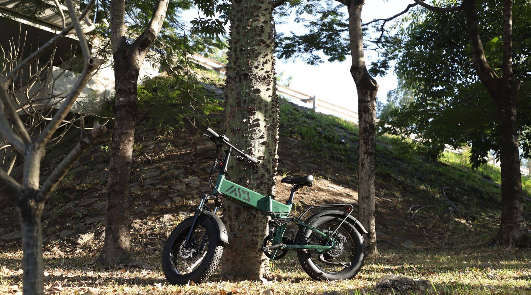 The Rise of Folding Ebikes: Compact and Portable Solutions for Urban Mobility - TST Ebike
