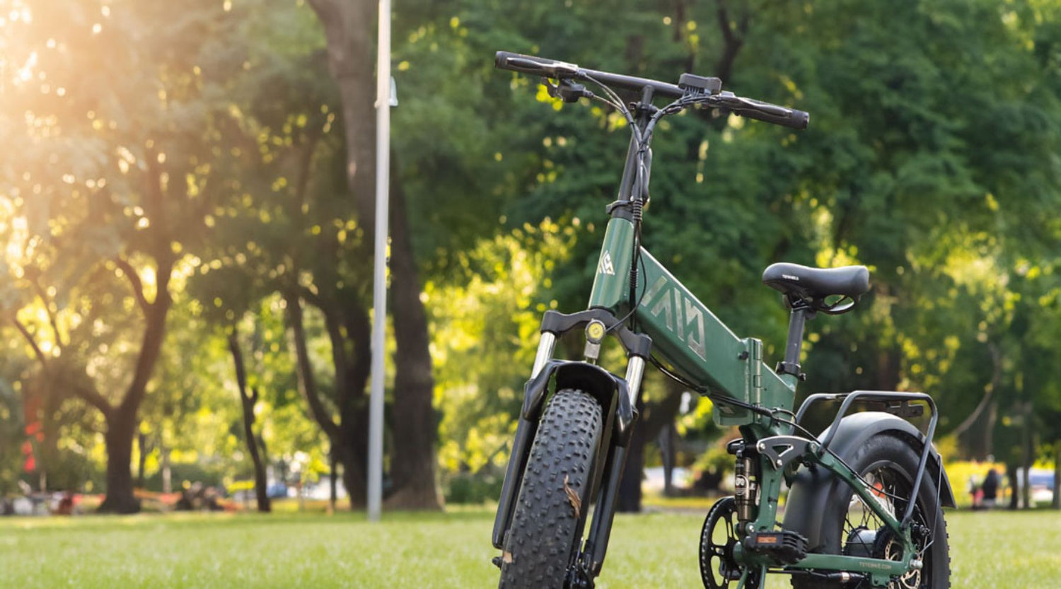 TST 20-Inch Buddy Pro Foldable E-Bike: Everything You Need to Know - TST Ebike