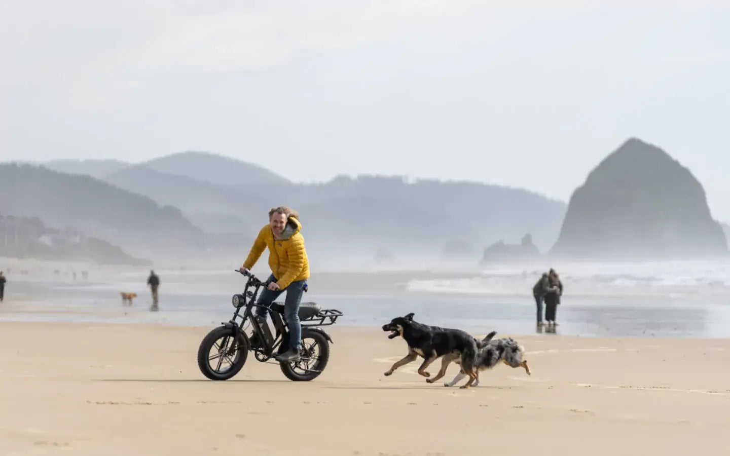 what-is-a-high-torque-1300w-rear-drive-ebike
