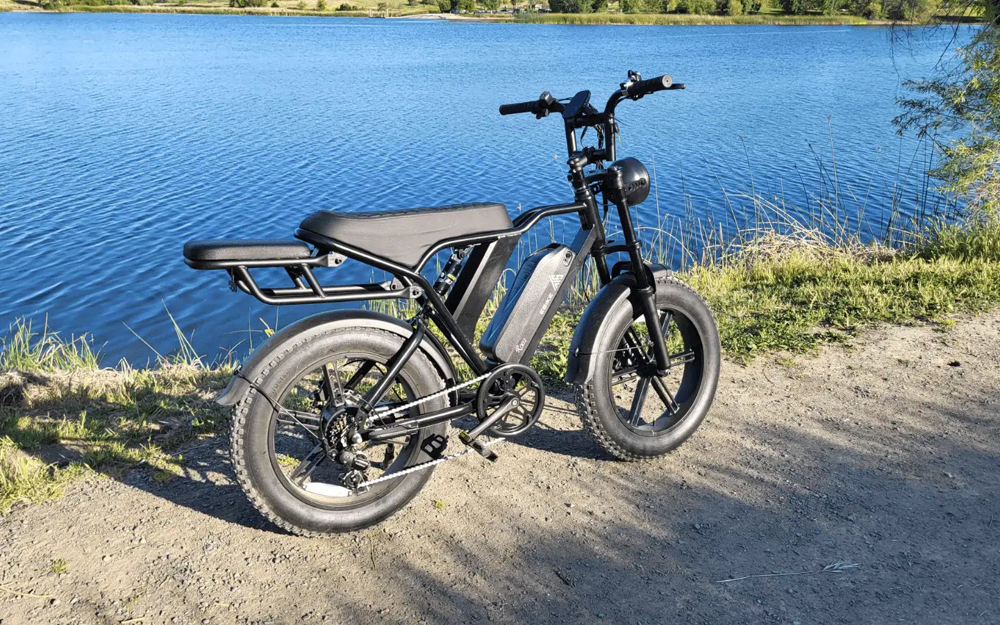 what-s-the-tst-carrier-20-e-bike-for-cargo