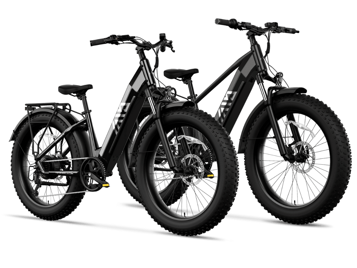 TST Combo Sale Defender Dreamer 26 Fat Tire Ebike For Adult