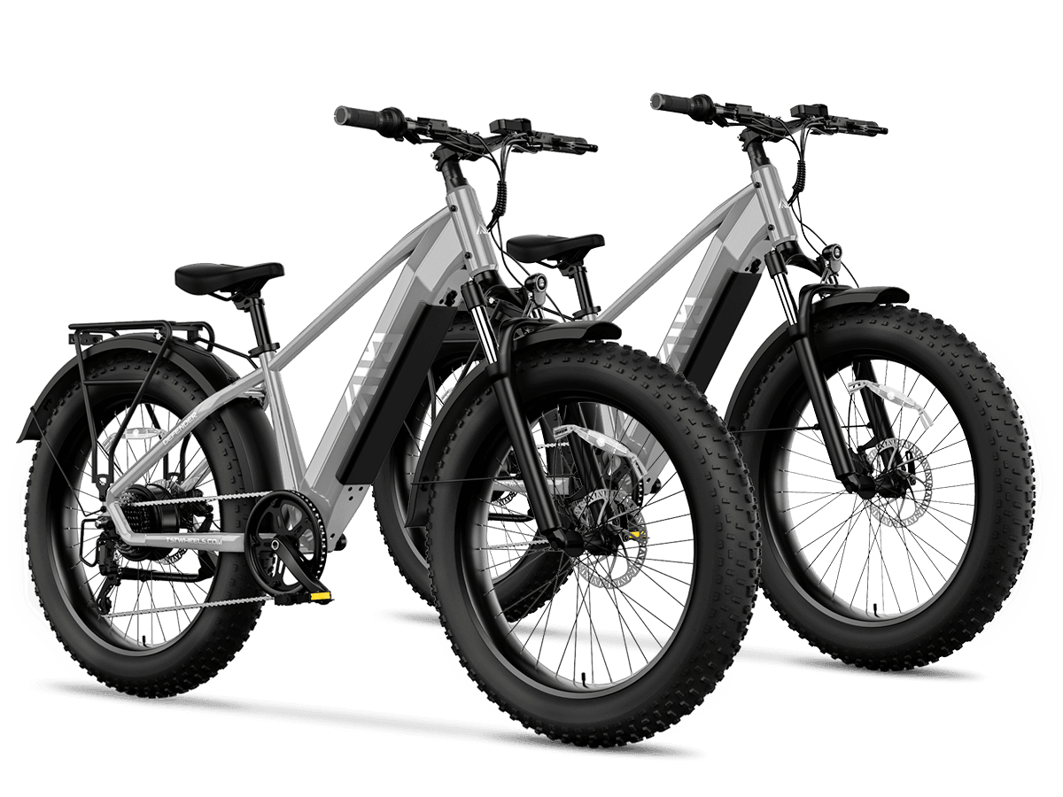 Fat bike best sale sales