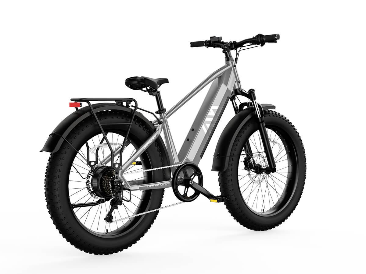 Rate of fat discount bike