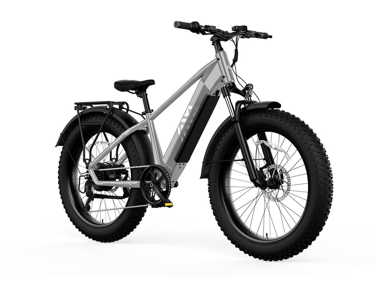 Ebike on sale fat tyre