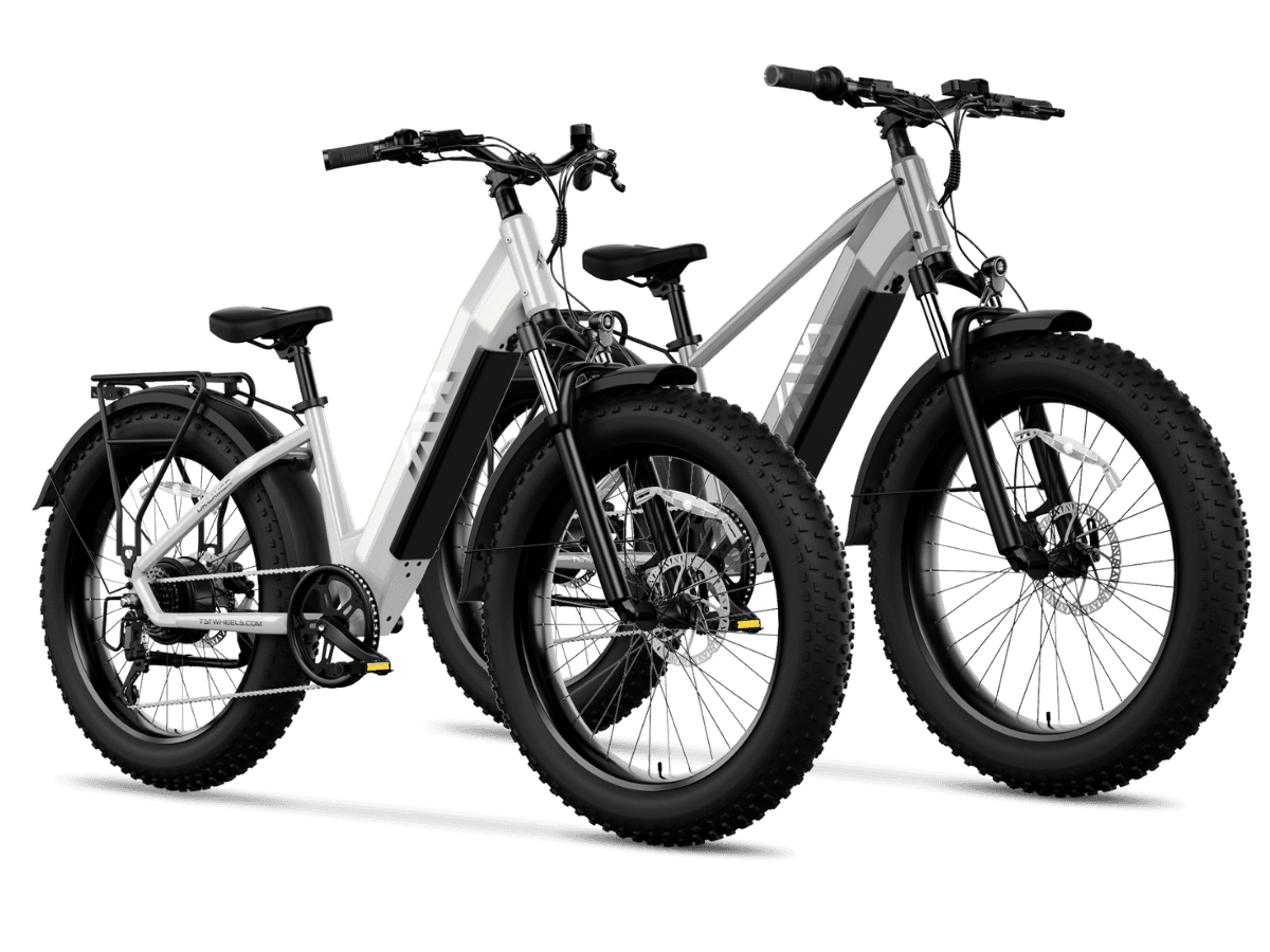 Fat wheel top ebike