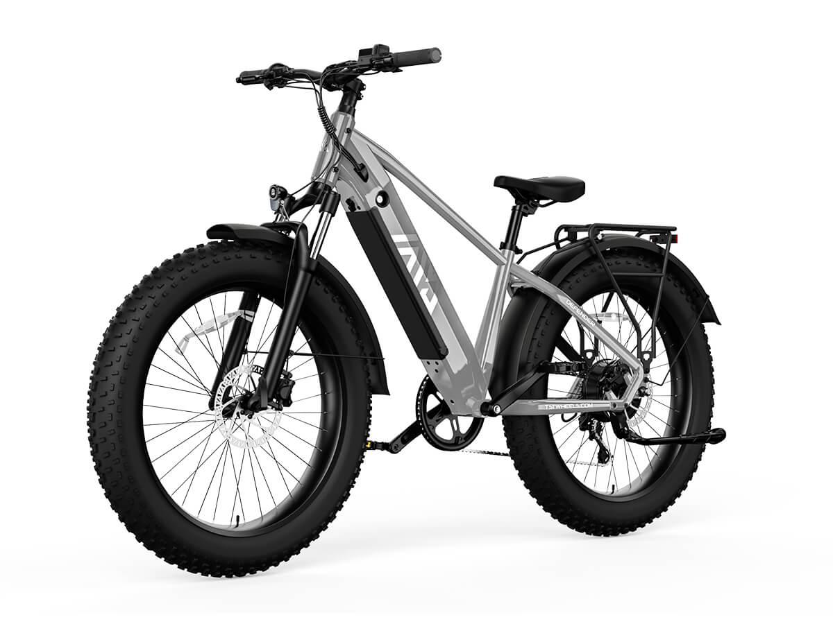 Fat bike online for adults