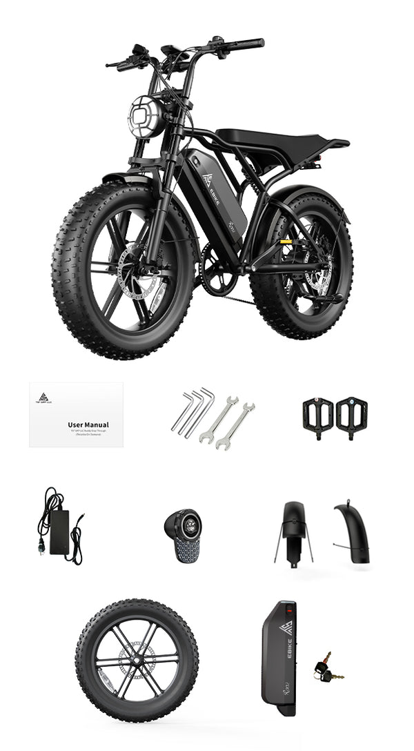 TST® R002 20'' 1500W Full Suspension Moped-style Electric Bike