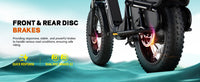 TST® Carrier 20'' Cargo Electric Bike