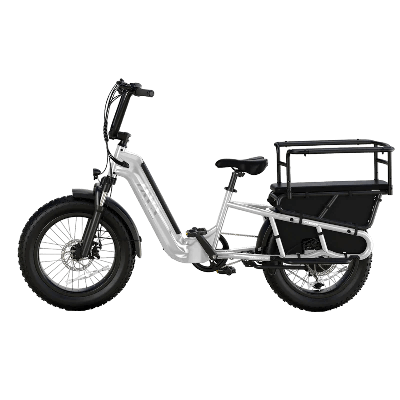 TST® Carrier 20'' Cargo Electric Bike
